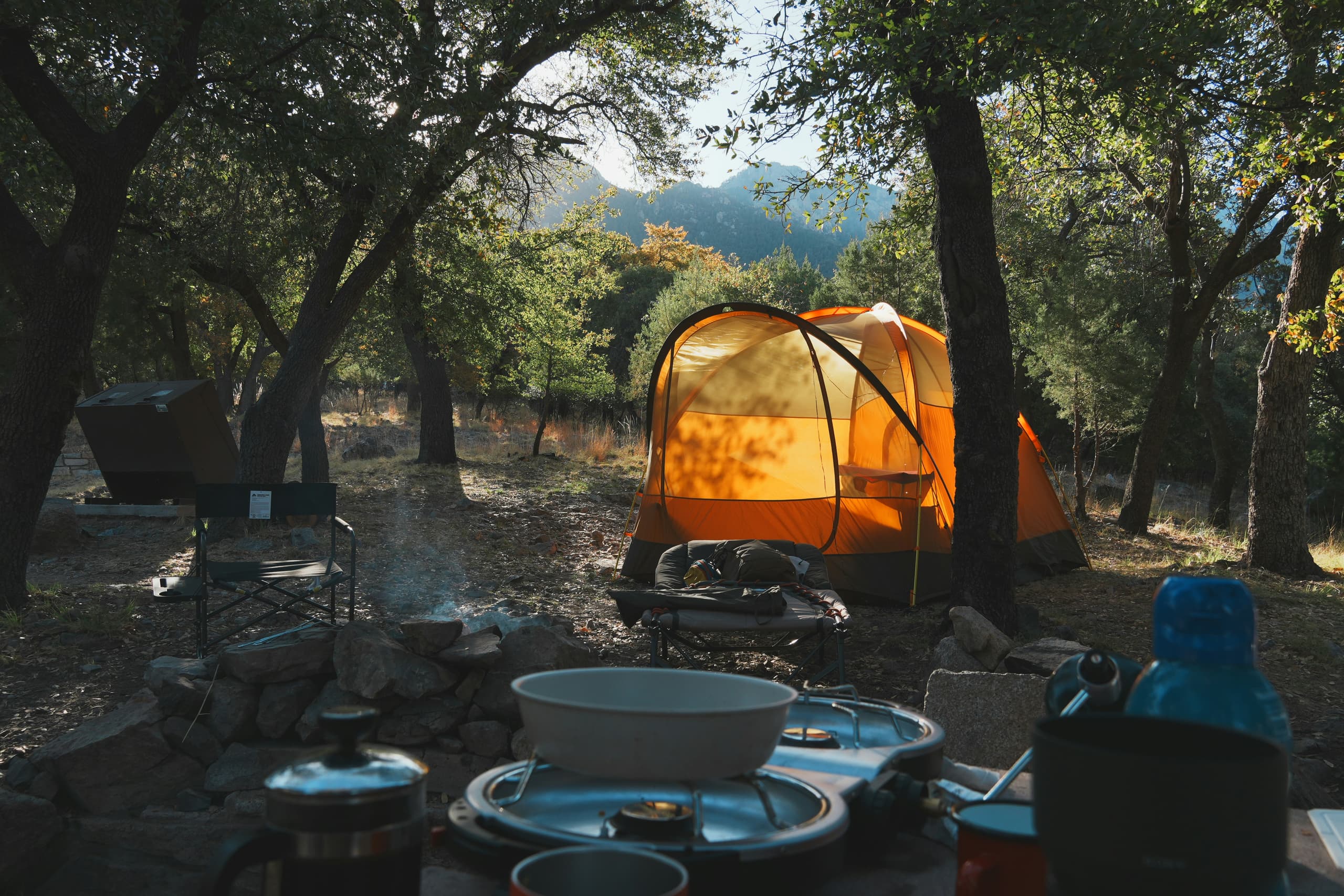 A gallery image from American Life: Camping In Madera Canyon, Arizona