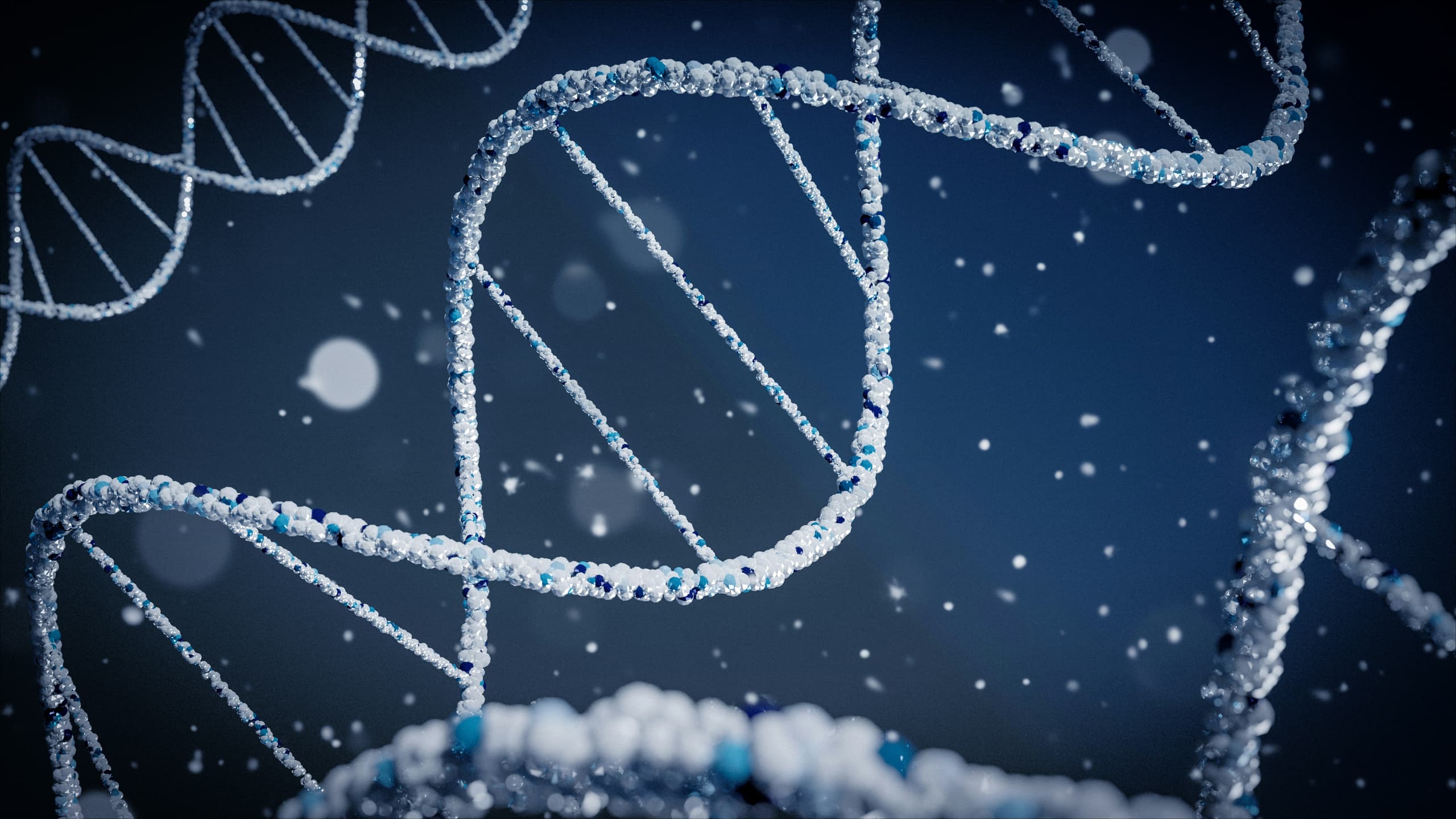 A gallery image from Science: DNA 3D