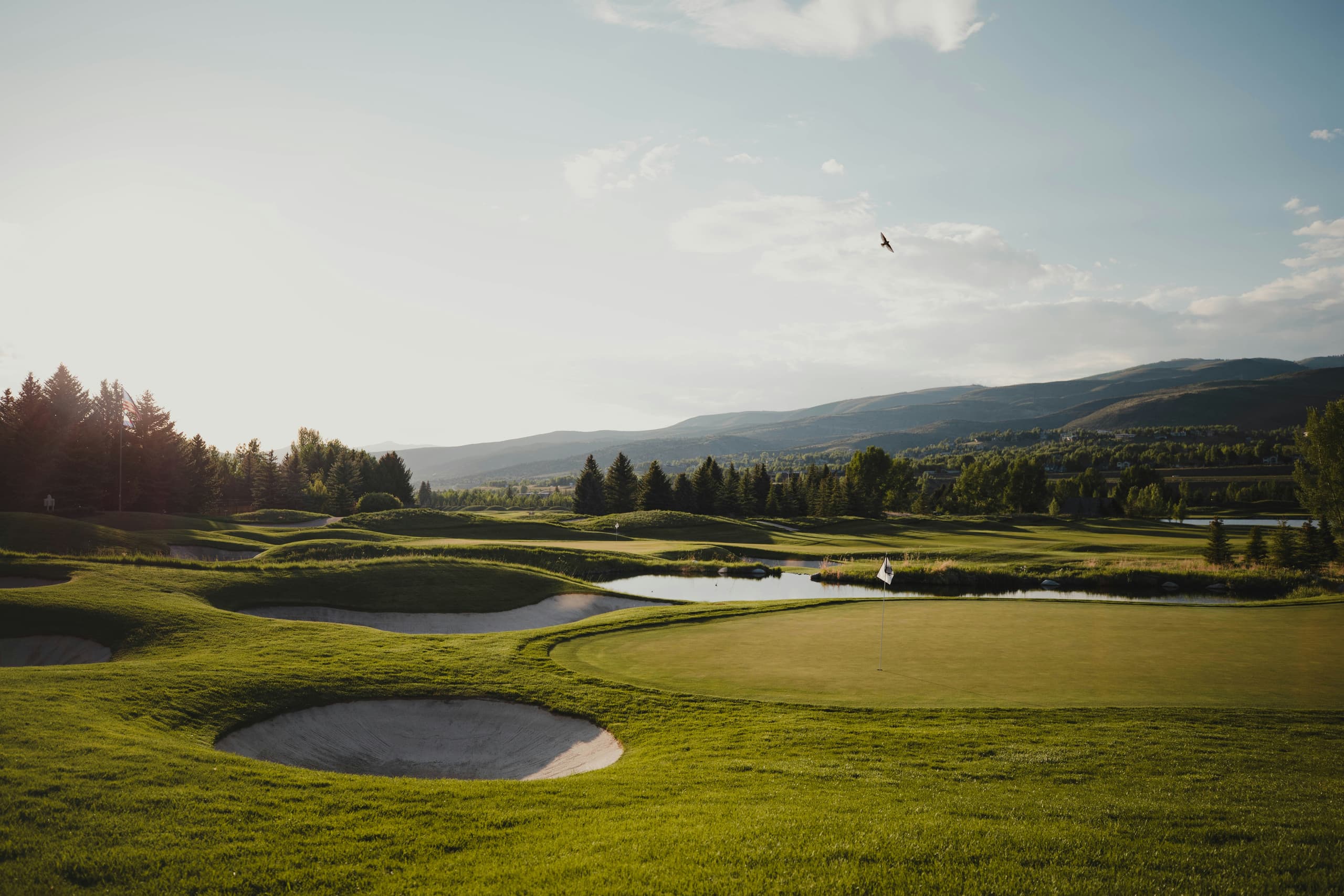 A gallery image from Sports: Golf Course In Colorado