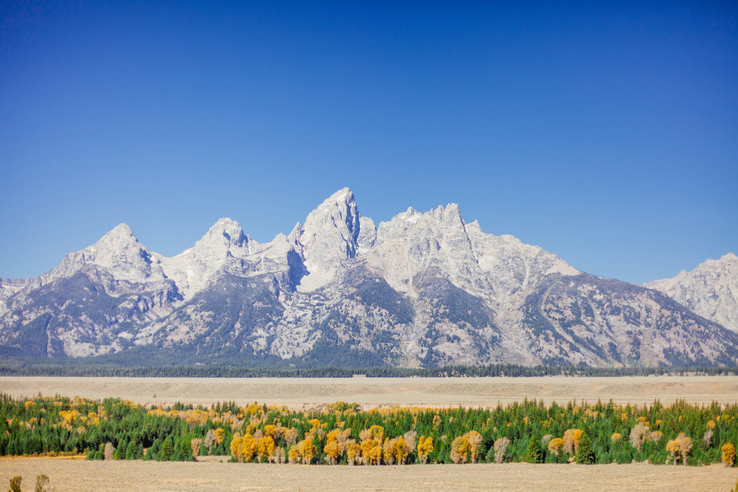 A gallery image from Landscapes: Grand Teton National Park