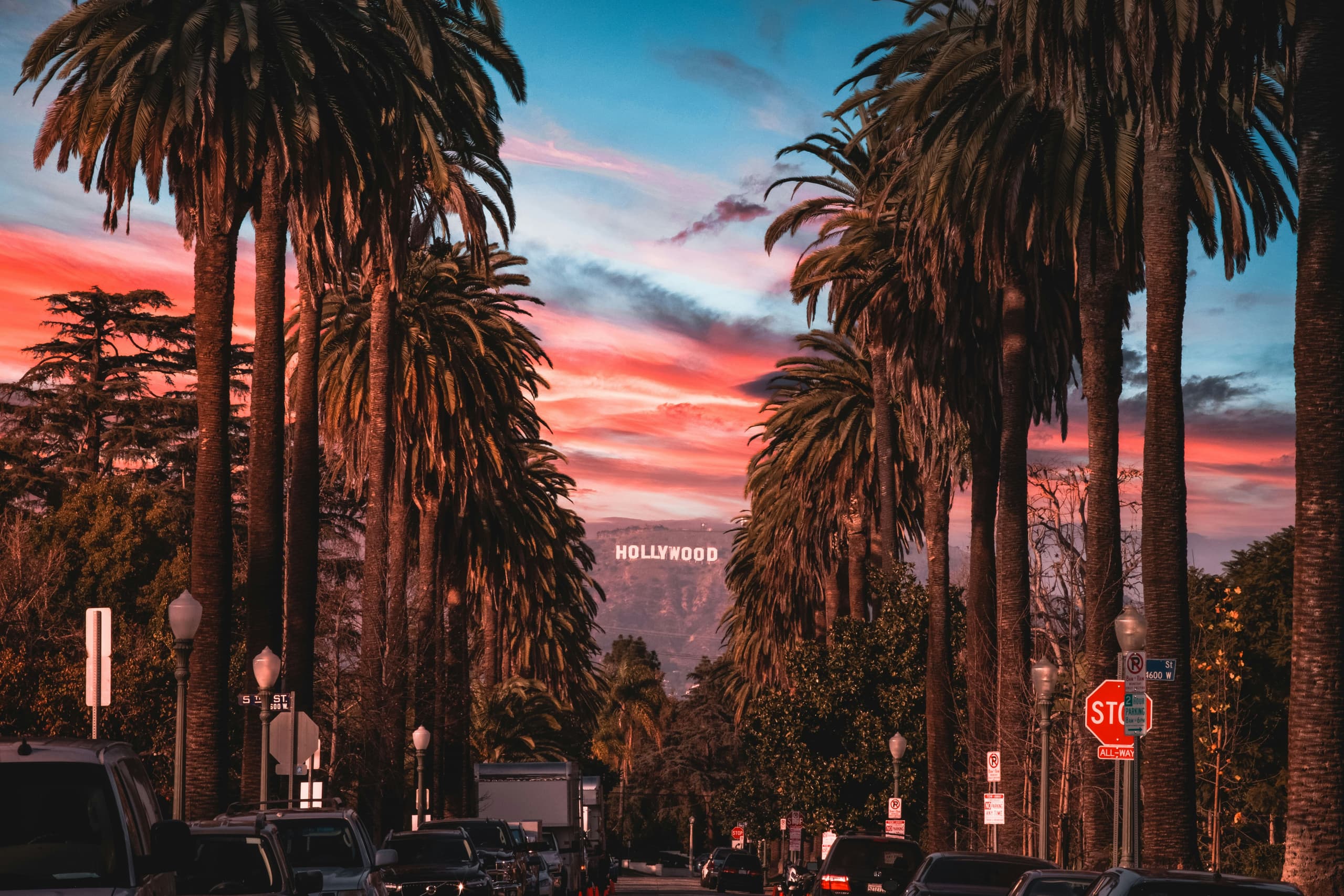 A gallery image from Cinema: Hollywood Sign Between Palm Trees