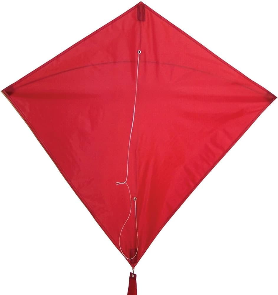 The Kite
