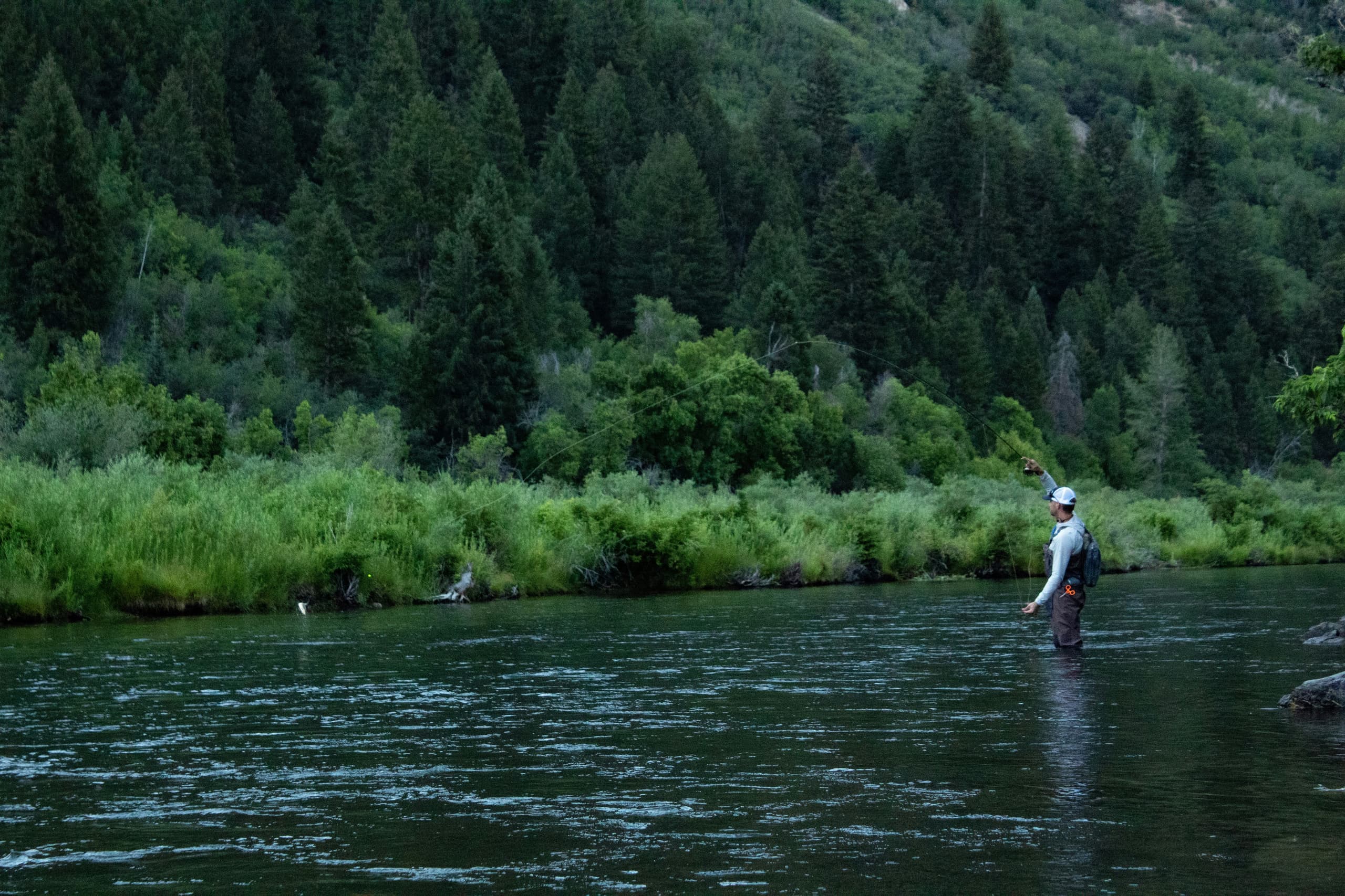 A gallery image from American Life: Man Fishing In Provo River Utah
