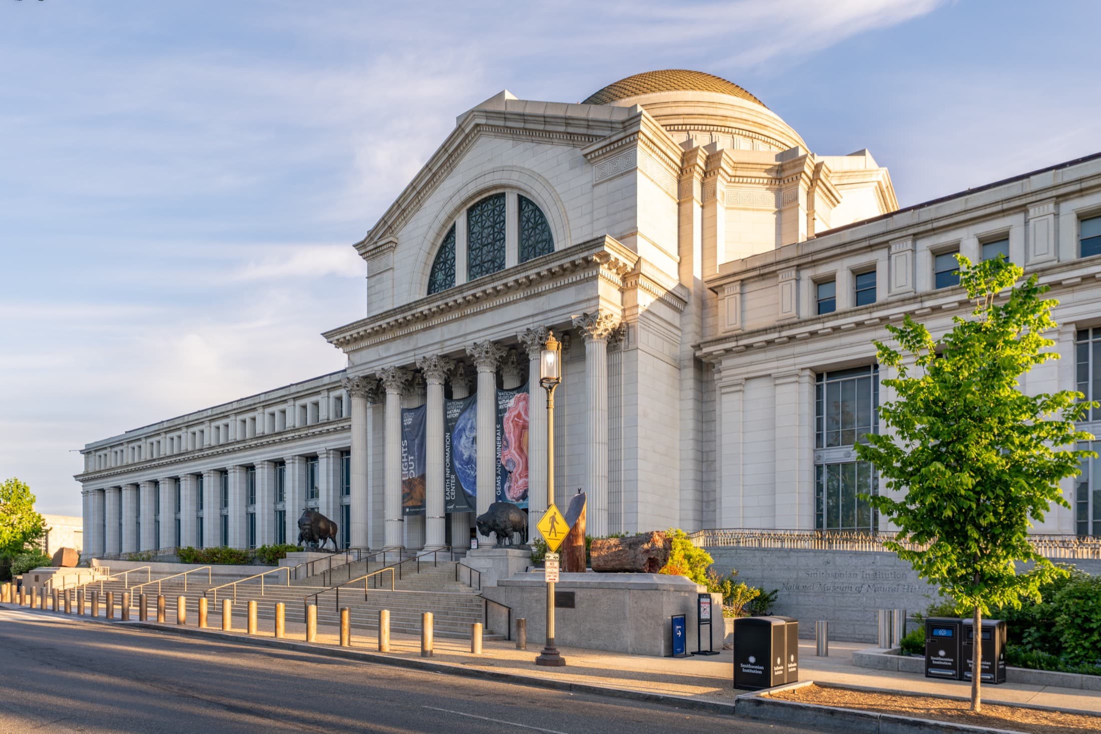 A gallery image from US Buildings: National Museum Of Natural History