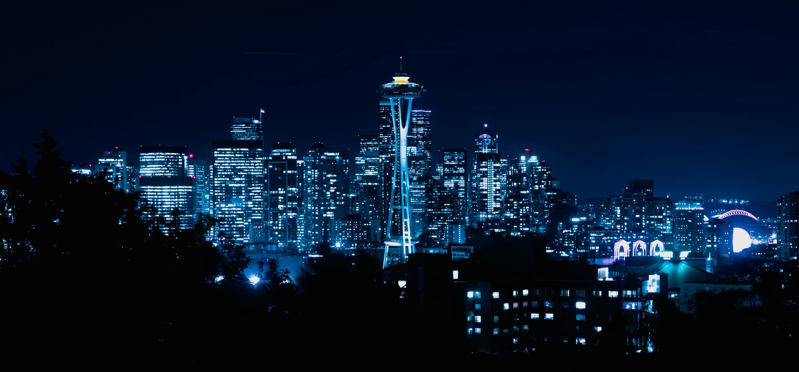 A gallery image from Cities: Seattle Skyline At Night
