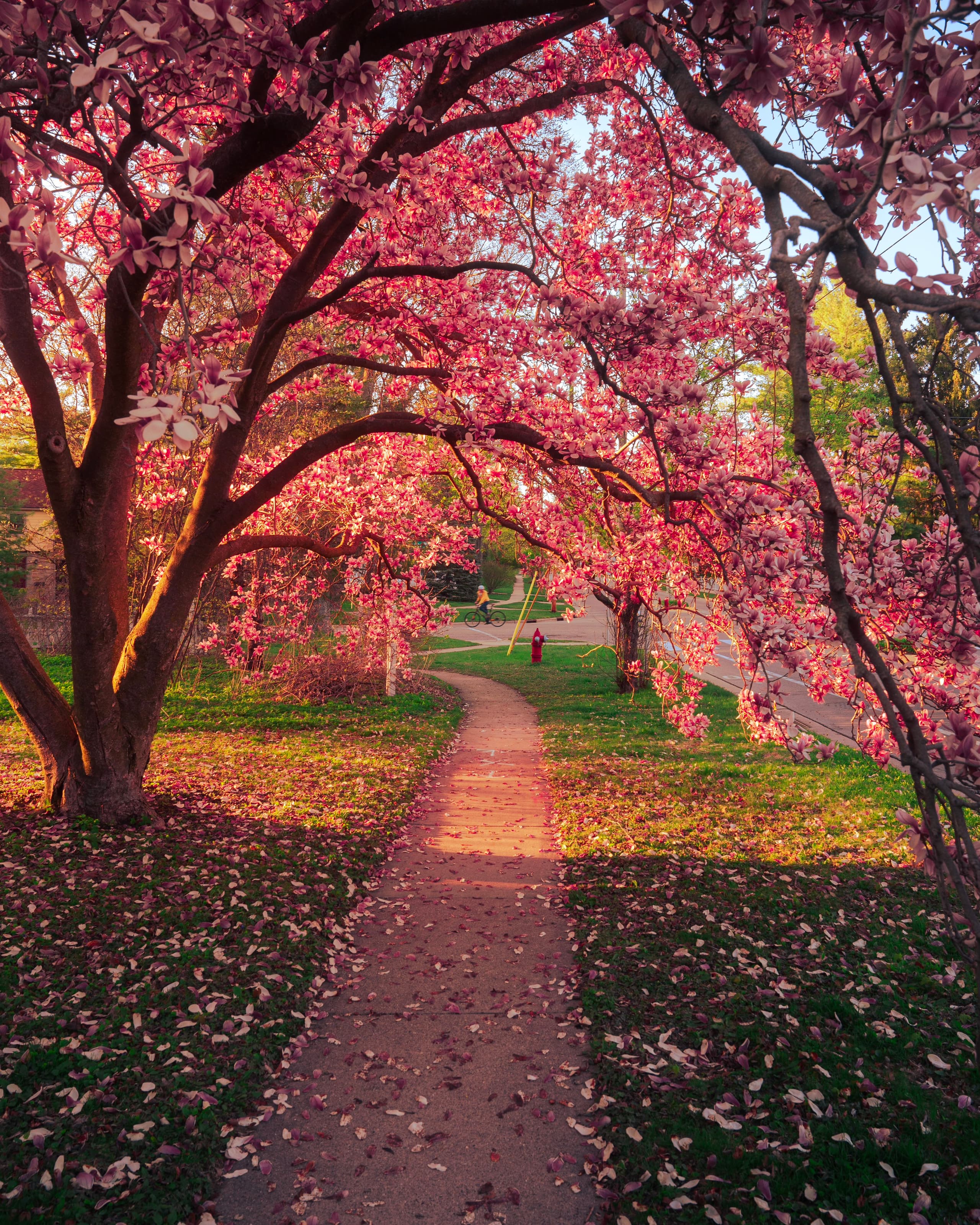 A gallery image from Housing: Suburb In Indiana Autumn 2