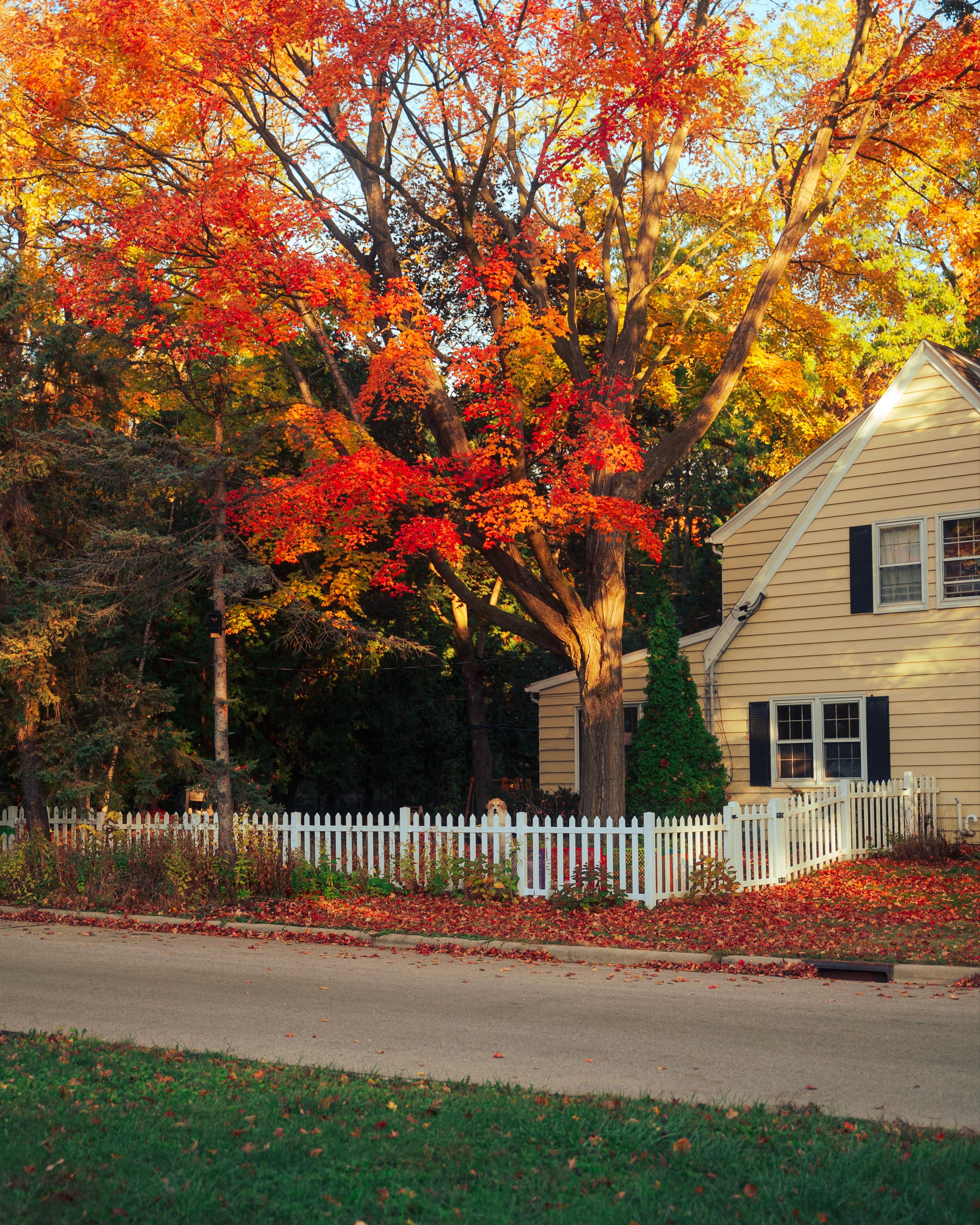 A gallery image from Housing: Suburb In Indiana Autumn 3
