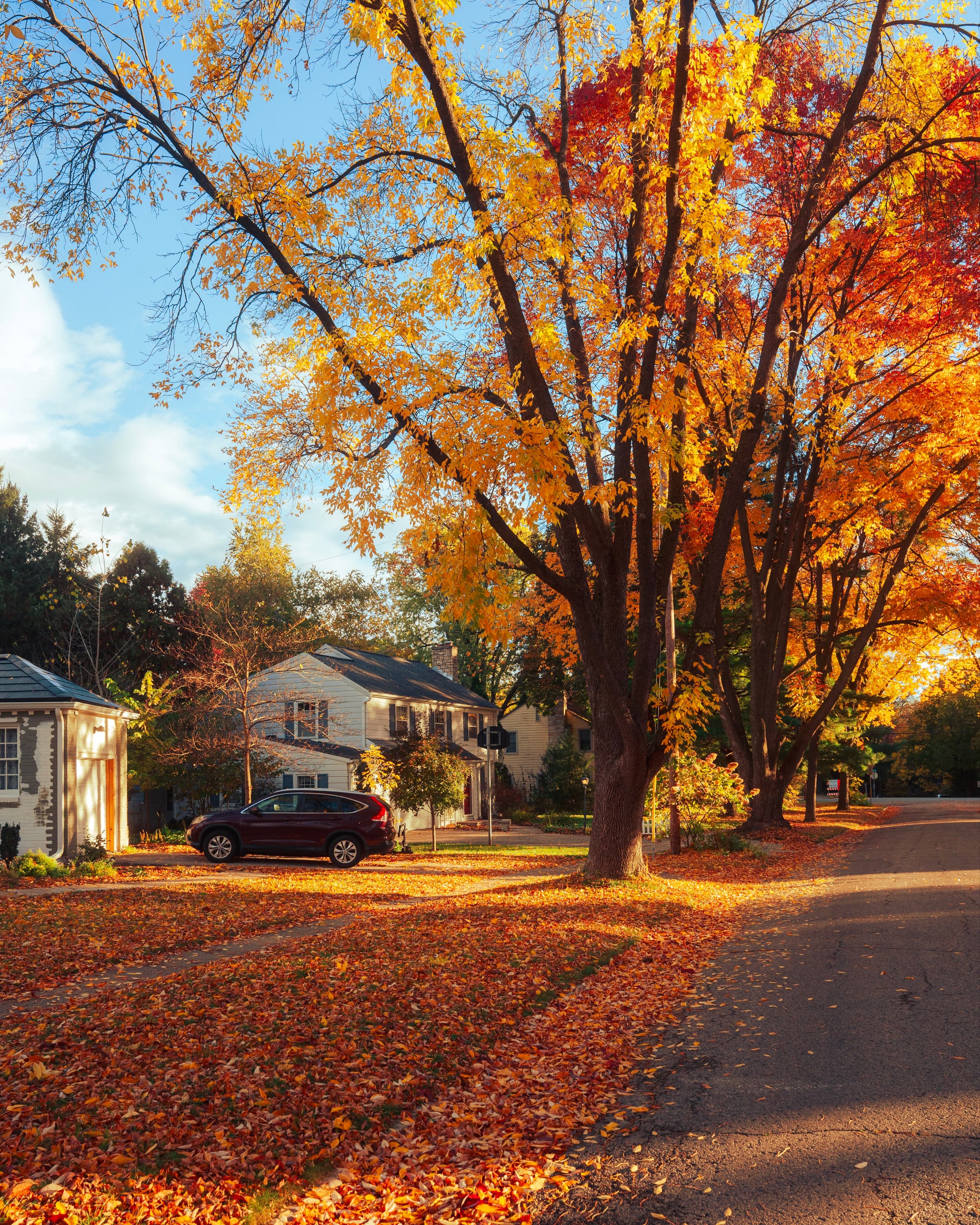 A gallery image from Housing: Suburb In Indiana Autumn 5