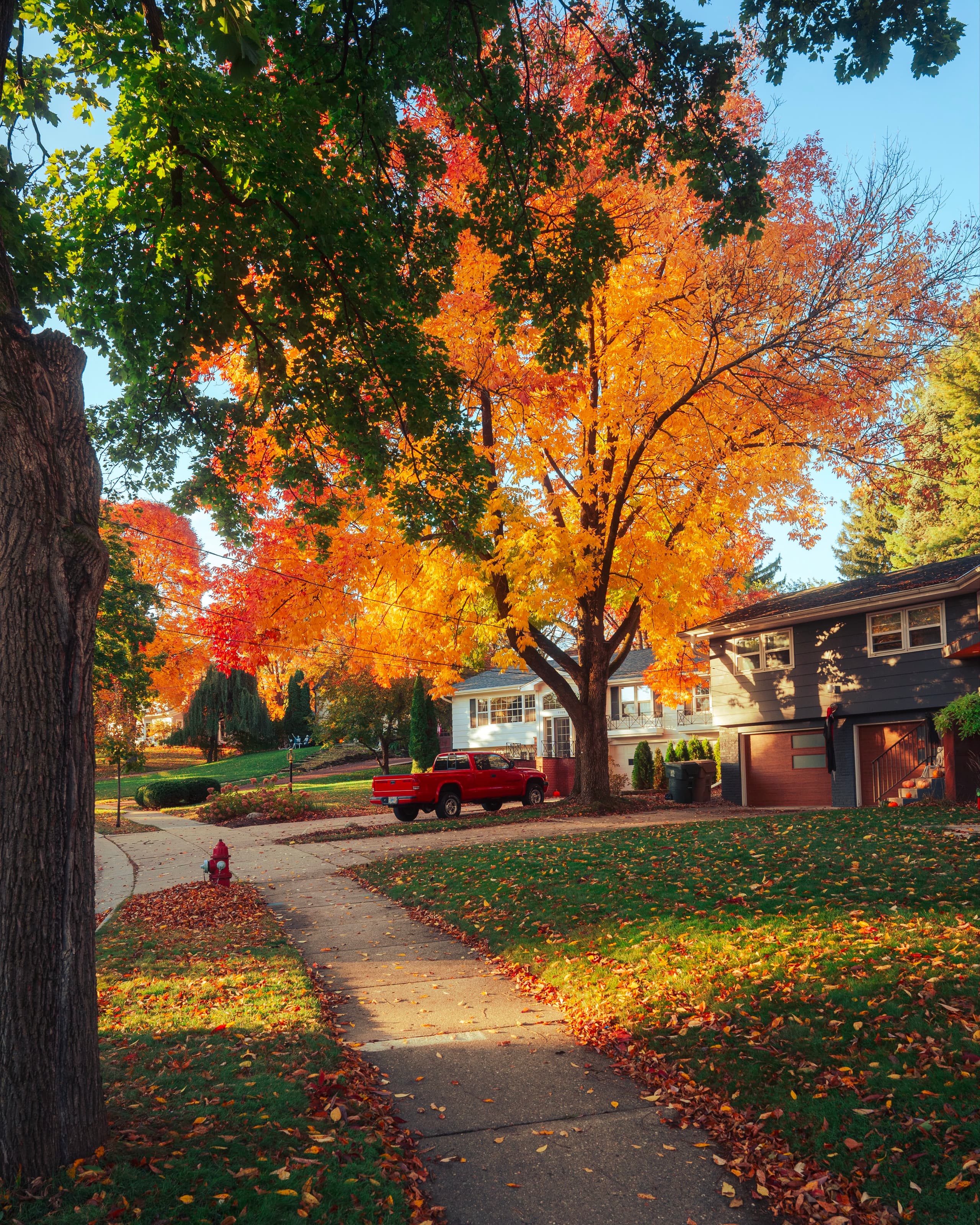 A gallery image from Housing: Suburb In Indiana Autumn 6