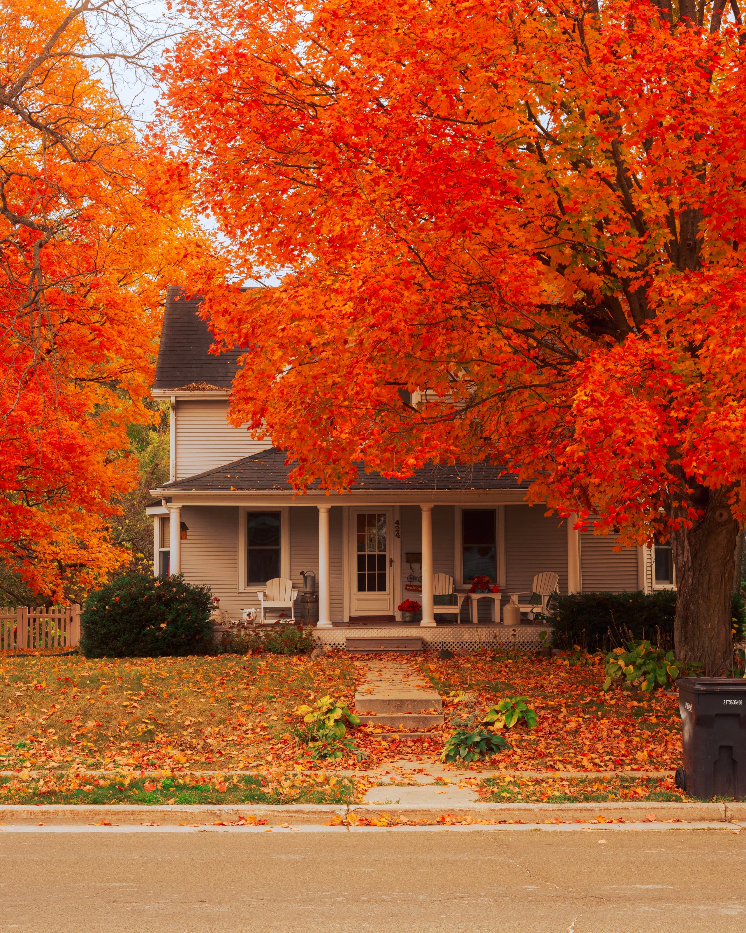 A gallery image from Housing: Suburb In Indiana Autumn