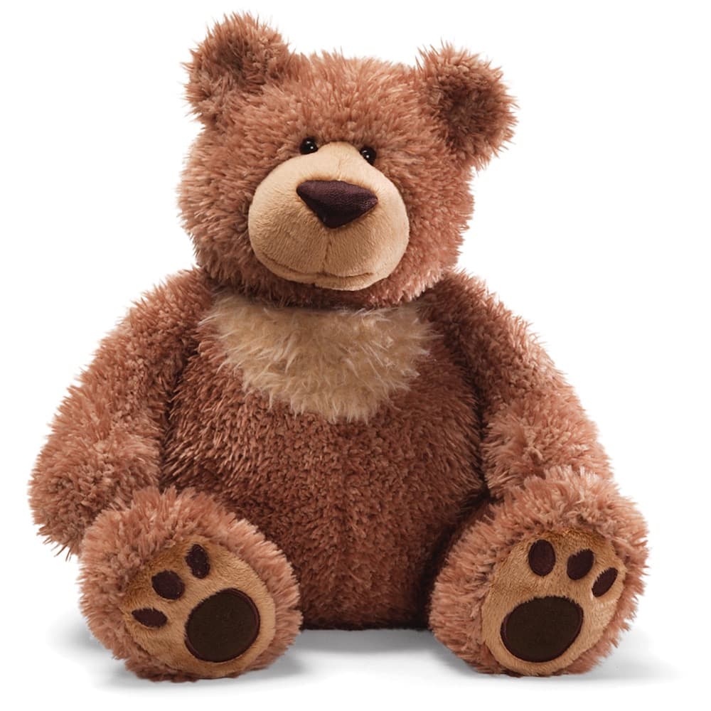 The Teddy Bear