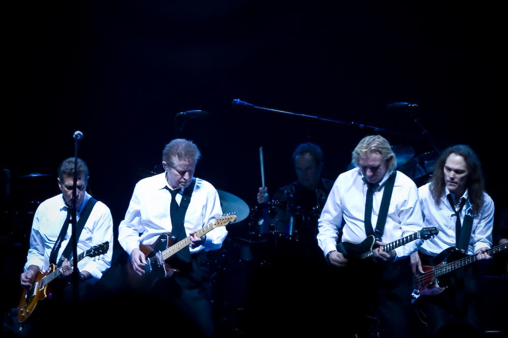 A gallery image from Music: The Eagles In Performance, 2008