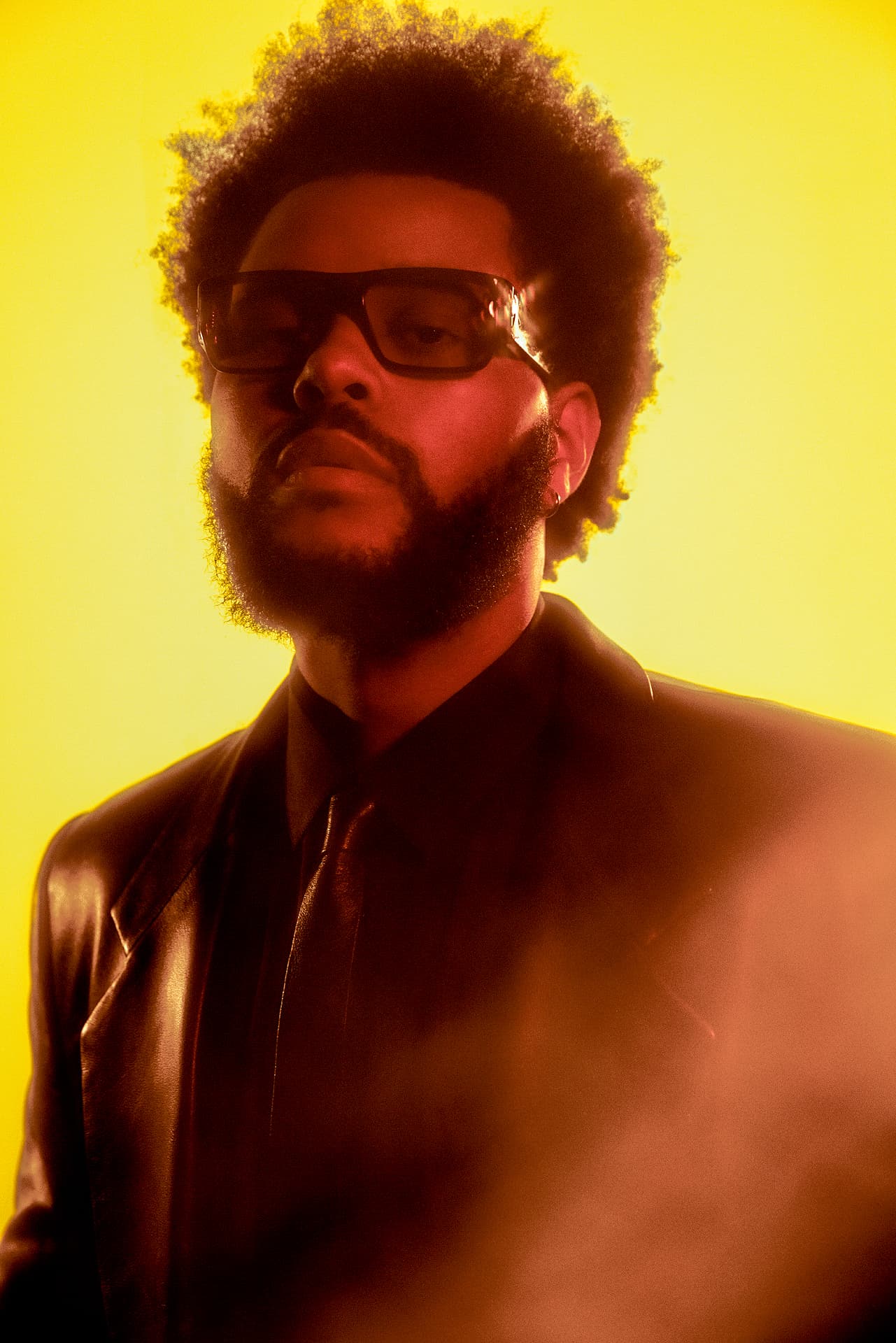 A gallery image from Music: The Weeknd Portrait By Brian Ziff