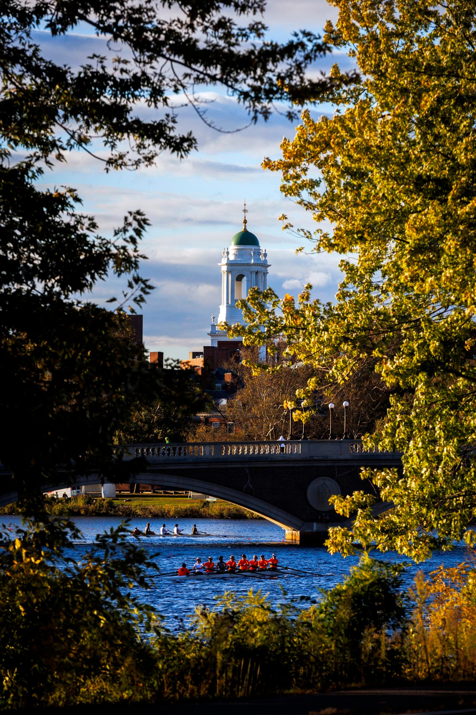 A gallery image from Education: Trees Frame The Rowers On The Charles River