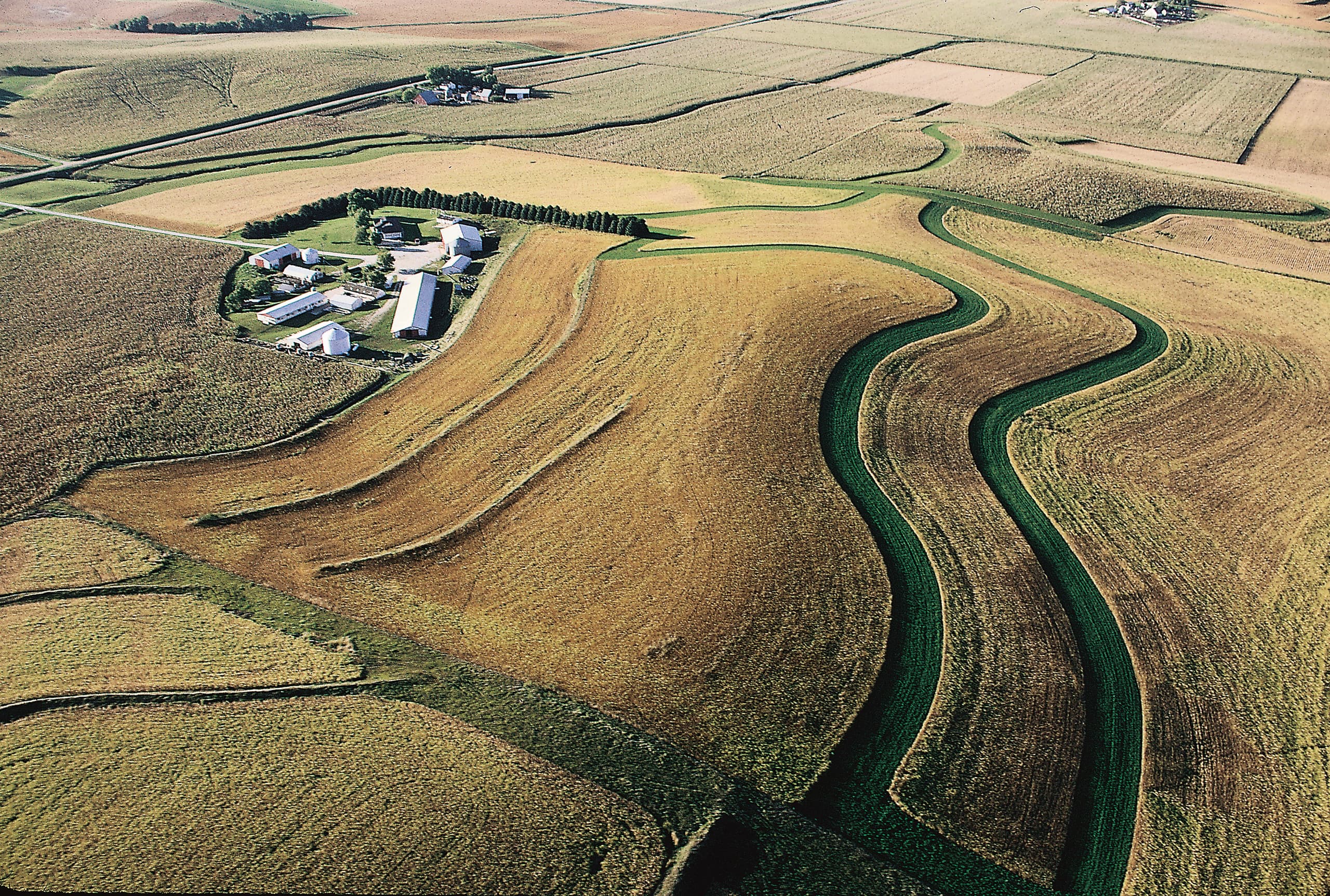 A gallery image from Landscapes: Ag Corn Aerial