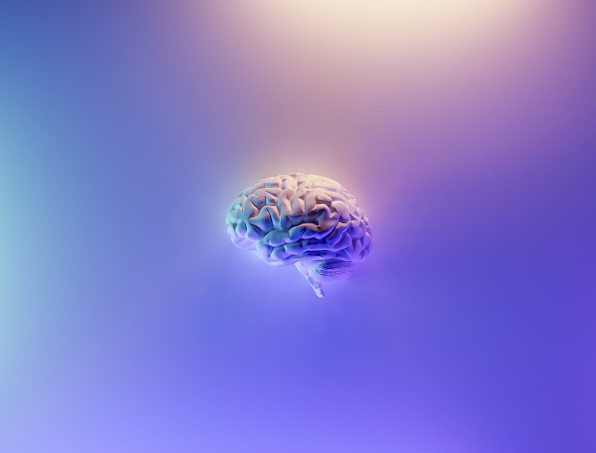 A gallery image from Constitution: Brain Photo