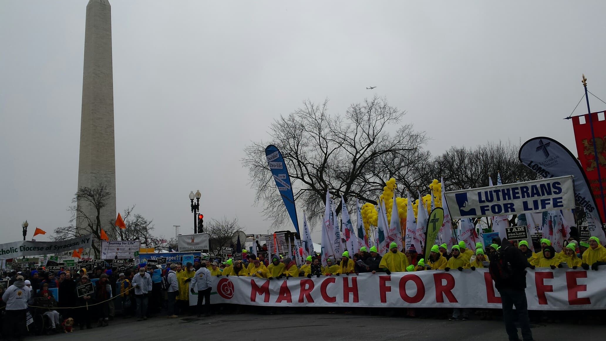 A gallery image from Constitution: Fa March For Life