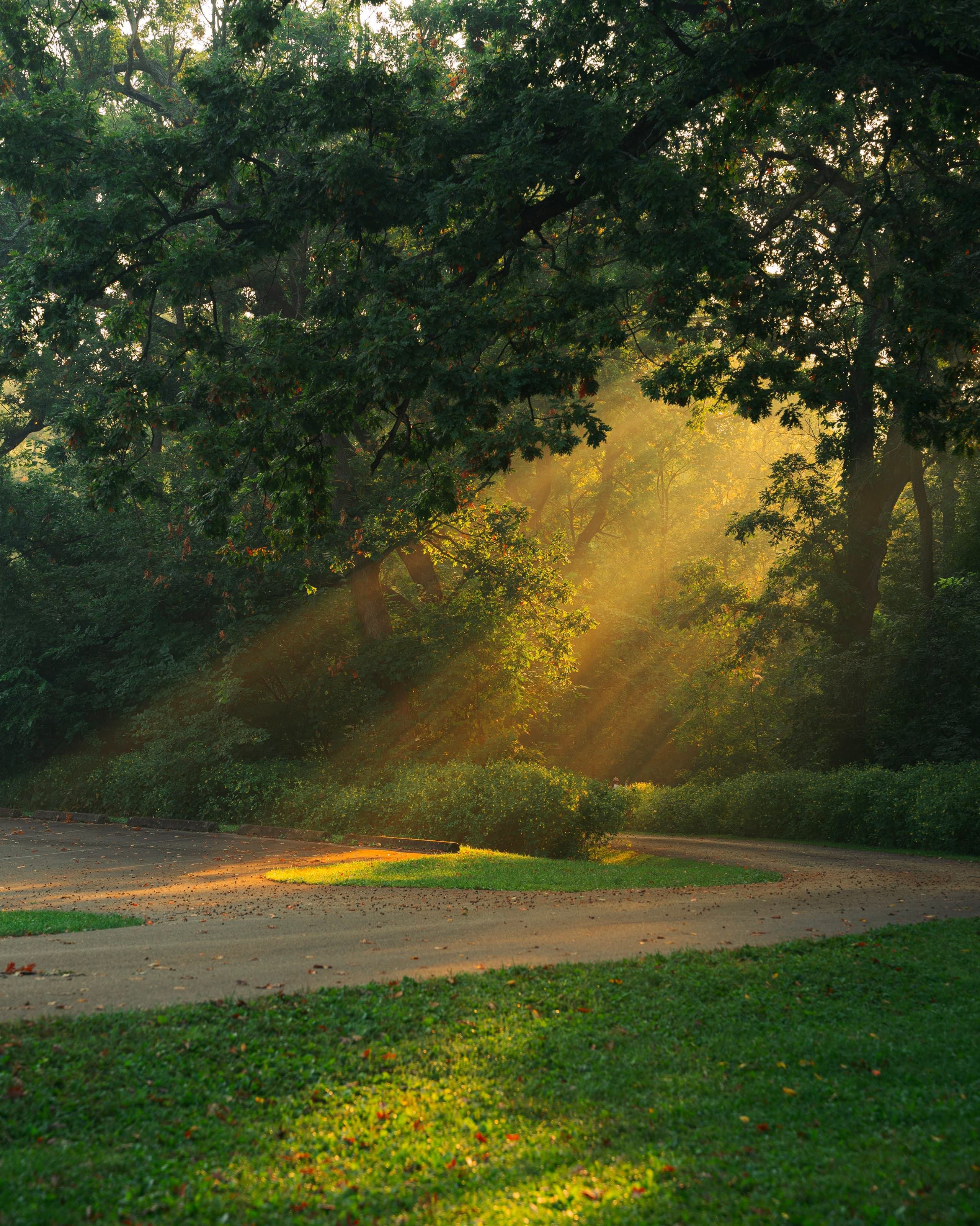 A gallery image from Housing: Nature In Suburb Spring