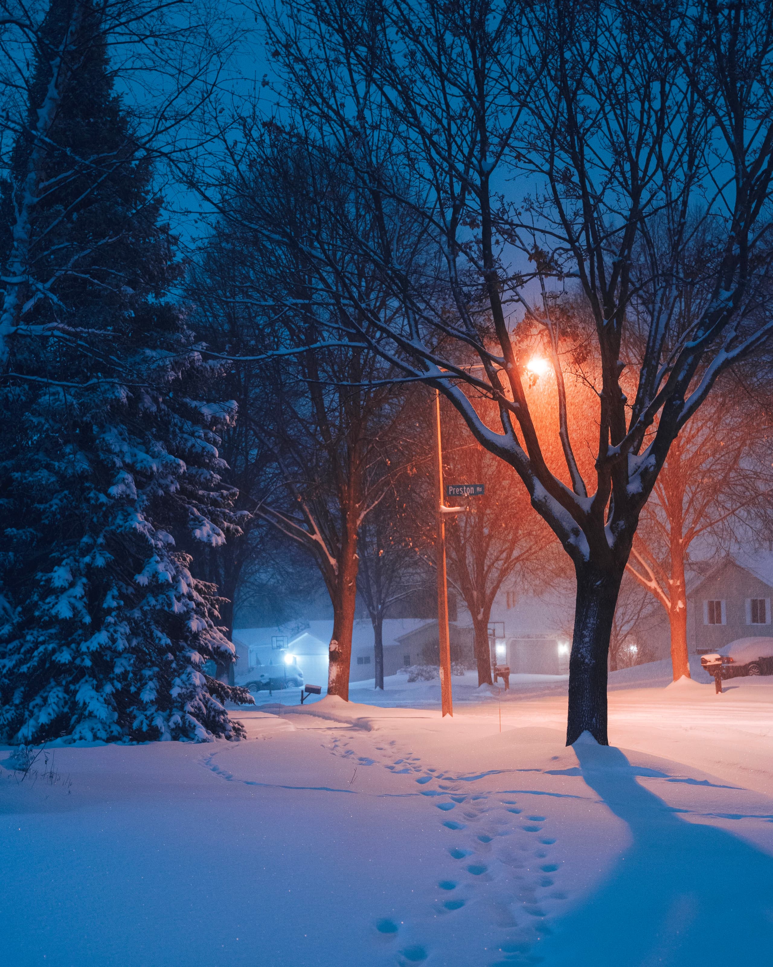 A gallery image from Housing: Nature In Suburb Winter