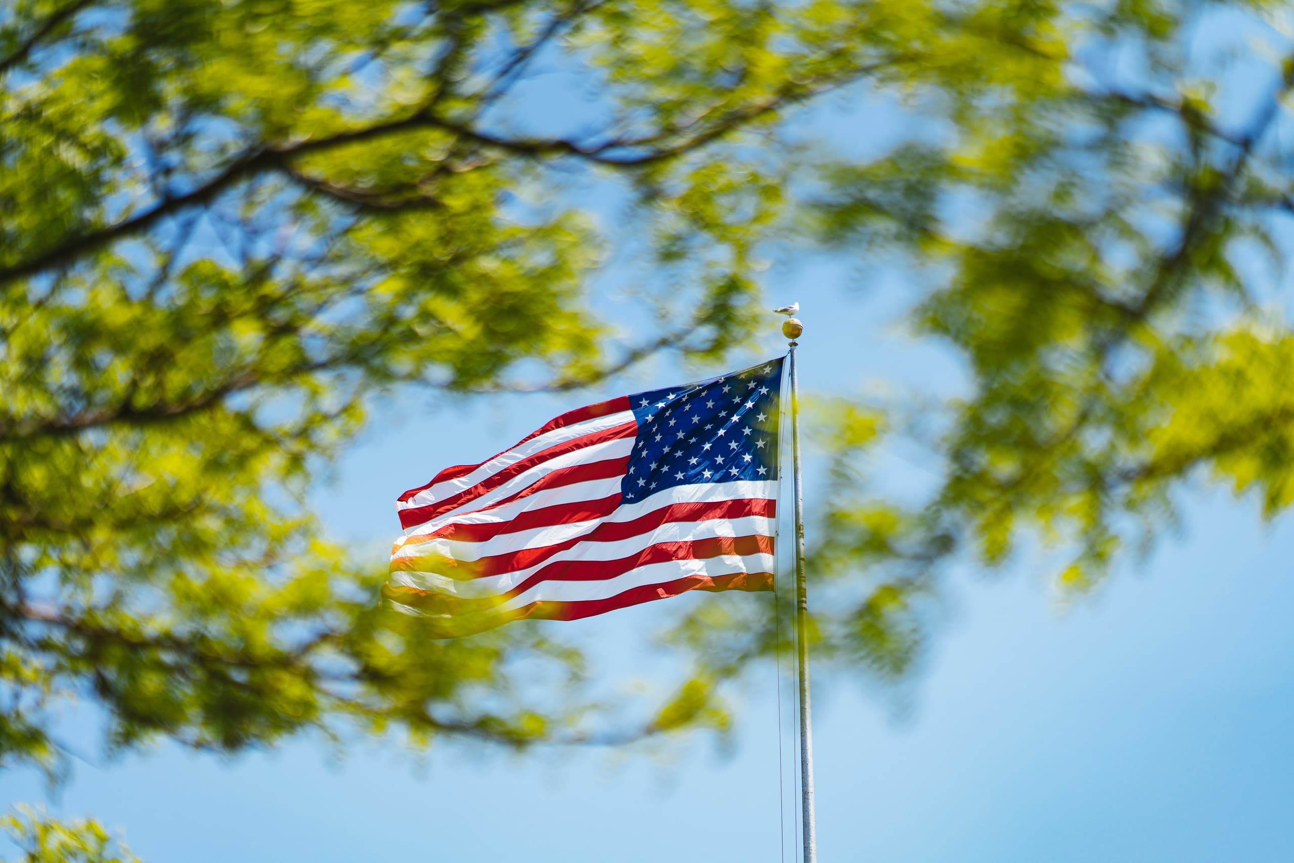 A gallery image from US Flags: Nelson Ndongala GDRHfyeOq58 Unsplash
