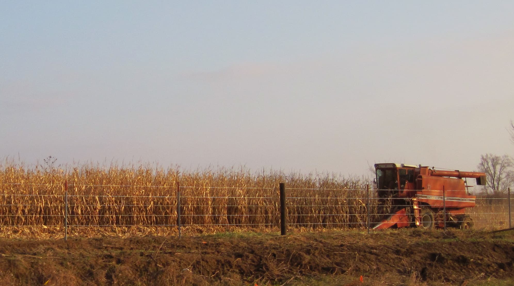A gallery image from Landscapes: Resources Agriculture Corn Harvest