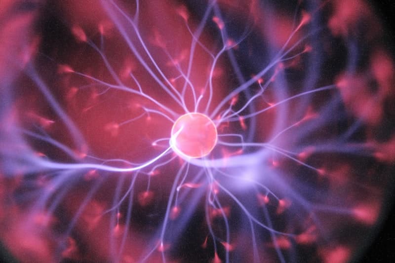 Science — explore this section