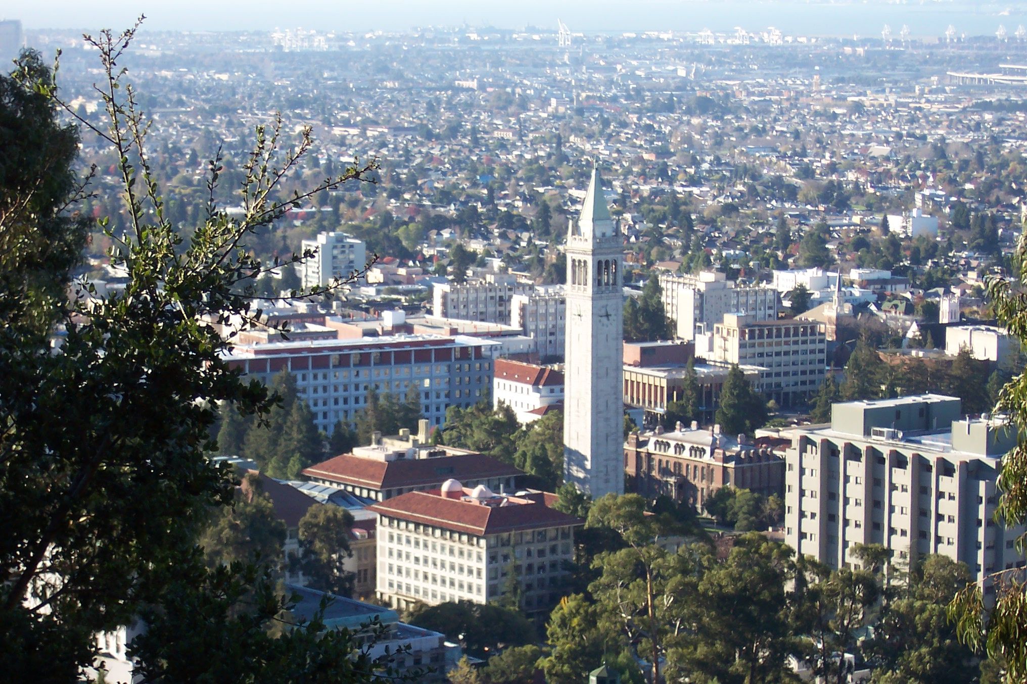 UC Berkeley Campus Overlook