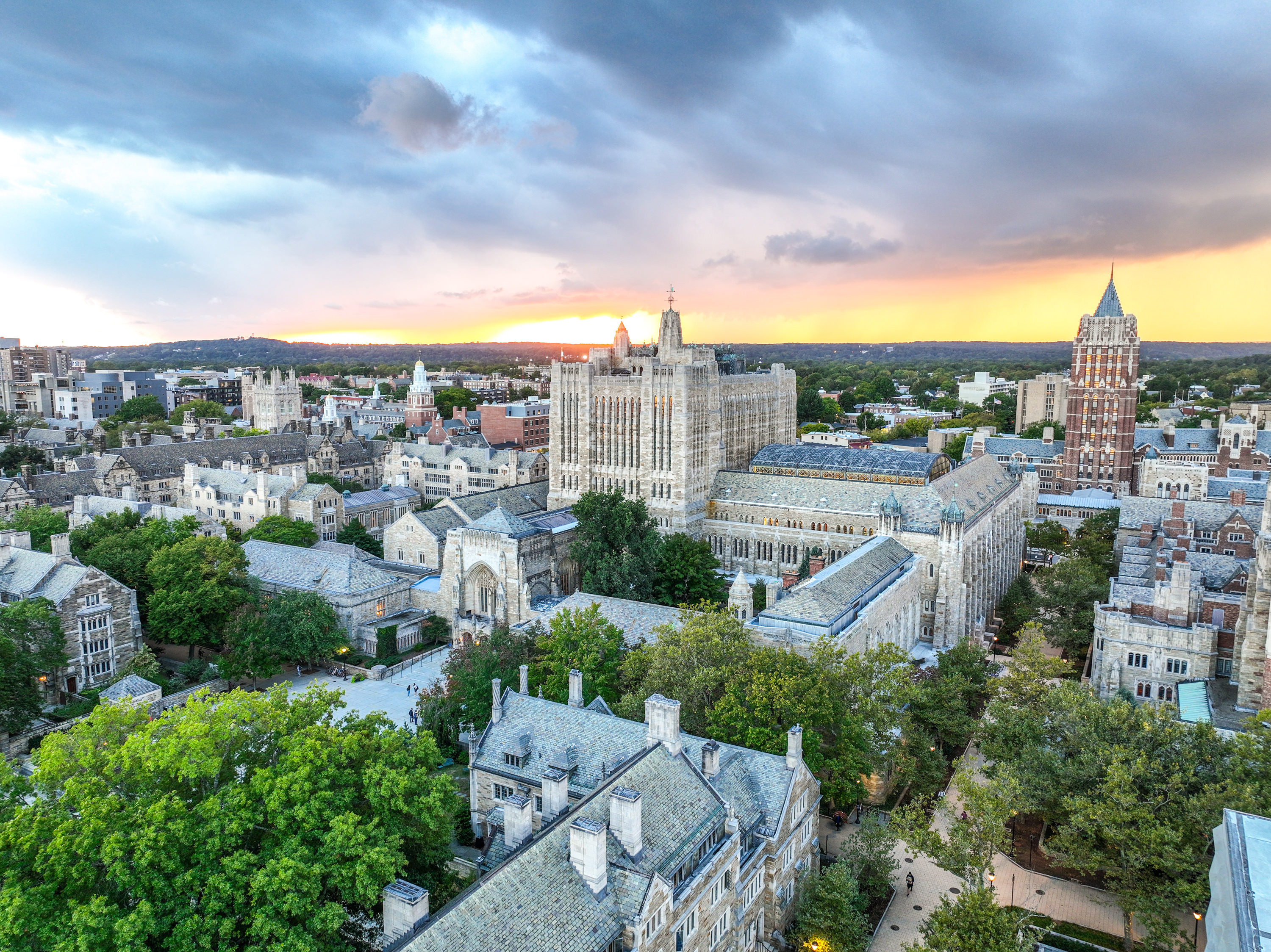 University of Michigan (Ann Arbor)
